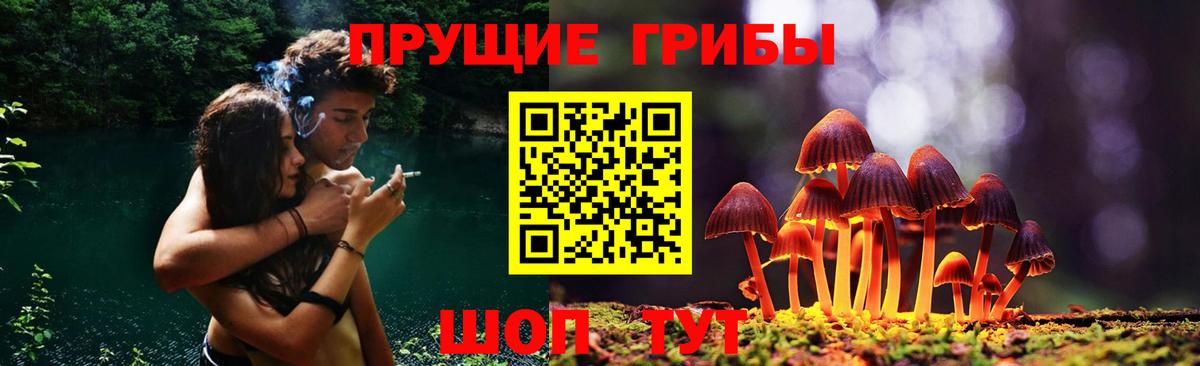 Галлюциногенные грибы Cubensis  Псилоцибиновые грибы Magic Shrooms  Вход с VPN  Ртищево 